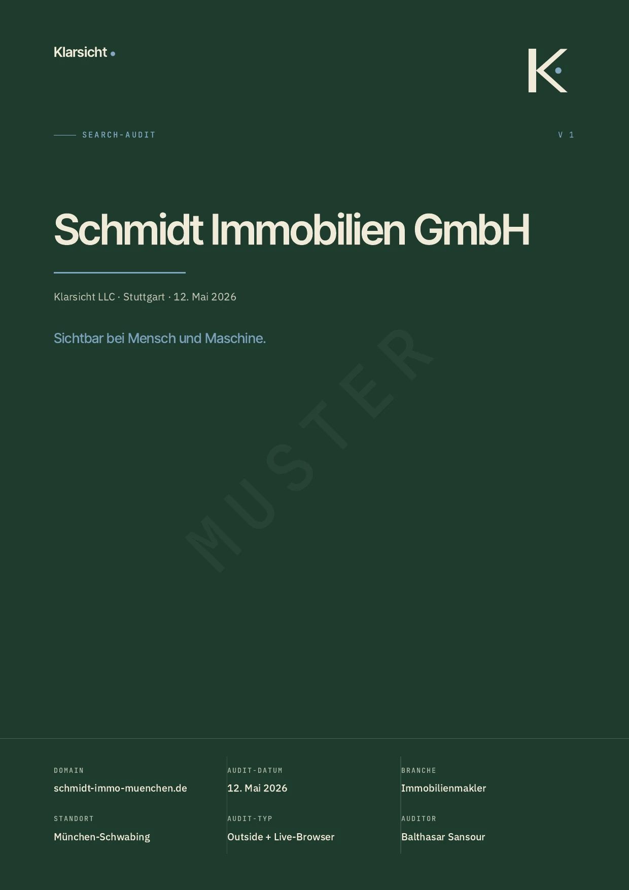 Cover eines Klarsicht-Search-Audits (Beispielfall mit Musterdaten)
